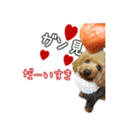 なま＆むぎ日常編2（個別スタンプ：7）