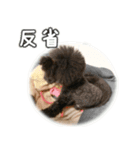 なま＆むぎ日常編2（個別スタンプ：8）