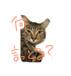 すずちゃそ（個別スタンプ：14）