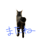 すずちゃそ（個別スタンプ：15）