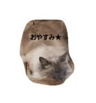 モカの気持ち（個別スタンプ：1）