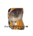 モカの気持ち（個別スタンプ：7）