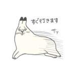 ねこもやし（個別スタンプ：15）