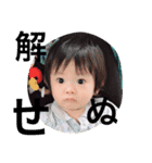 藤井家の蒼くん（個別スタンプ：15）