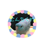 コリすけ＆リラまる（個別スタンプ：1）