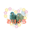コリすけ＆リラまる（個別スタンプ：2）