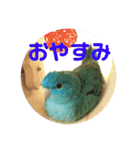 コリすけ＆リラまる（個別スタンプ：3）