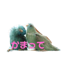 コリすけ＆リラまる（個別スタンプ：9）