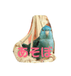 コリすけ＆リラまる（個別スタンプ：10）