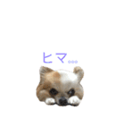 りんぴち（個別スタンプ：14）
