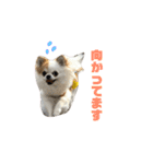 りんぴち（個別スタンプ：15）