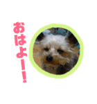 ゆかいなペットたち！（個別スタンプ：3）