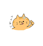 わんにゃんブラザーズ（個別スタンプ：10）