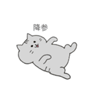 わんにゃんブラザーズ（個別スタンプ：13）