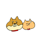 わんにゃんブラザーズ（個別スタンプ：16）