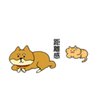 わんにゃんブラザーズ（個別スタンプ：18）