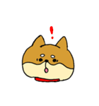 わんにゃんブラザーズ（個別スタンプ：21）