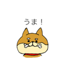 わんにゃんブラザーズ（個別スタンプ：25）
