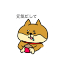 わんにゃんブラザーズ（個別スタンプ：27）