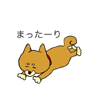 わんにゃんブラザーズ（個別スタンプ：30）