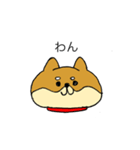 わんにゃんブラザーズ（個別スタンプ：34）