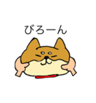わんにゃんブラザーズ（個別スタンプ：35）