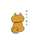 わんにゃんブラザーズ（個別スタンプ：36）