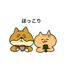 わんにゃんブラザーズ（個別スタンプ：40）