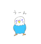 ゆるめなインコ さん（個別スタンプ：3）
