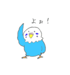 ゆるめなインコ さん（個別スタンプ：8）