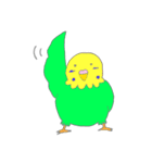 ゆるめなインコ さん（個別スタンプ：15）