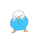 ゆるめなインコ さん（個別スタンプ：22）