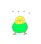 ゆるめなインコ さん（個別スタンプ：24）