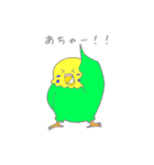 ゆるめなインコ さん（個別スタンプ：25）