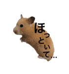 キンクマハムスター クールハム（個別スタンプ：2）