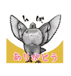 「ありがとう」ばかりのスタンプ（個別スタンプ：23）