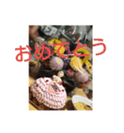 えいころまんじゅう（個別スタンプ：5）
