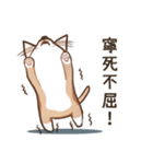 オータムは猫です（個別スタンプ：11）