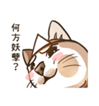 オータムは猫です（個別スタンプ：34）