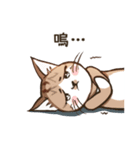 オータムは猫です（個別スタンプ：38）