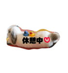 うたたんの日常（個別スタンプ：1）