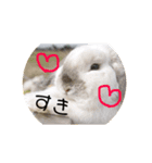 うたたんの日常（個別スタンプ：2）
