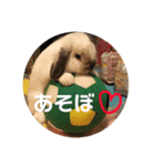 うたたんの日常（個別スタンプ：3）