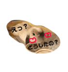 うたたんの日常（個別スタンプ：5）