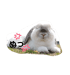 うたたんの日常（個別スタンプ：6）