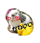 うたたんの日常（個別スタンプ：7）