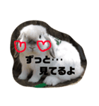 うたたんの日常（個別スタンプ：8）