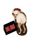 あやめ01（個別スタンプ：6）