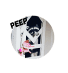 行け！Scooter！（個別スタンプ：24）
