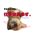 はじめまして、テンです（個別スタンプ：2）